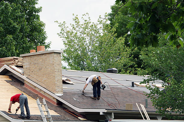 Gutter Installation and Roofing in Newport, MN