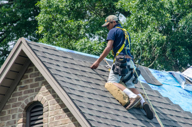 Roof Installation Near Me in Newport, MN